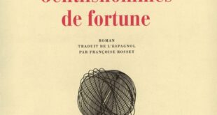 Gentilshommes de fortune