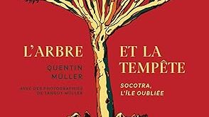 L’arbre et la tempête – Socotra, l’île oubliée